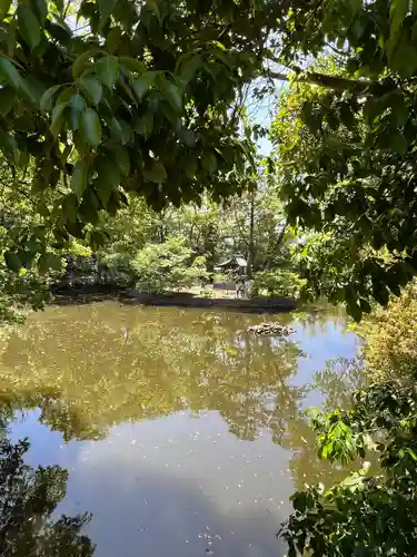 武蔵一宮氷川神社(埼玉県)