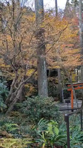 三千院門跡(京都府)