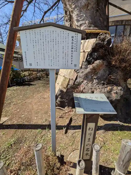 白山神社(東京都)