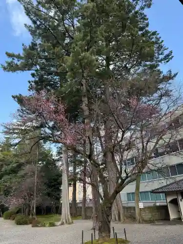 尾山神社の{uncategorized: "未分類", other: "その他", undefined: "問題あり", building: "その他建物", grave: "お墓", sacred_gate: "鳥居", guardian: "狛犬", statue: "像", buddha: "仏像", history: "歴史", nature: "自然", garden: "庭園", animal: "動物", pagoda: "塔", temizu: "手水舎", mountain_gate: "山門・神門", sanctuary: "本殿・本堂", subordinate: "末社・摂社", art: "芸術", scenery: "景色", jizo: "地蔵", ema: "絵馬", goshuin: "御朱印", omikuji: "おみくじ", items: "授与品その他", amulet: "お守り", goshuincho: "御朱印帳", eats: "食事", festival: "お祭り", votive_dance: "神楽", shichigosan: "七五三参", wedding: "結婚式", experience: "体験その他", initially: "初詣", around: "周辺", anti_infection: "感染症対策"}