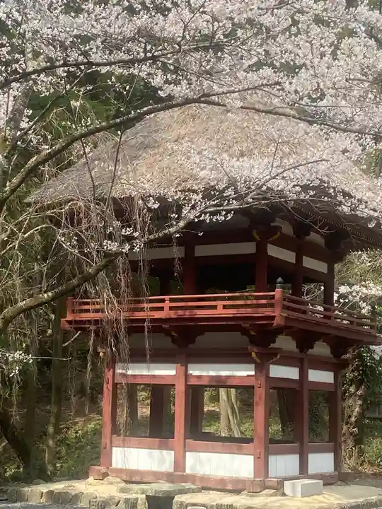 西明寺のその他建物