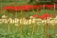 浄発願寺(神奈川県)