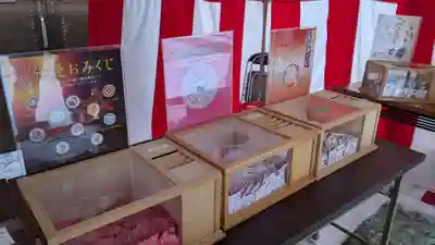 鷹栖神社のおみくじ