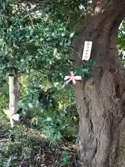 高幡不動尊　金剛寺の自然