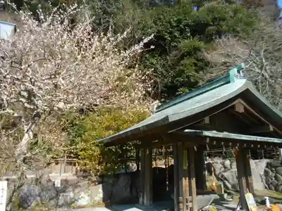 鎌倉宮の手水舎