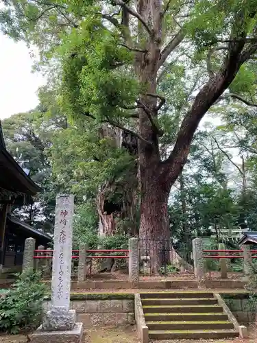 神崎神社の自然