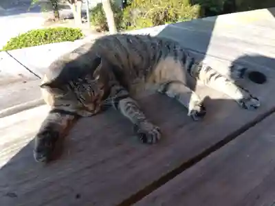 久米寺(奈良県)