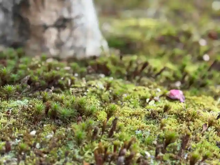西方山極楽寺(岐阜県)