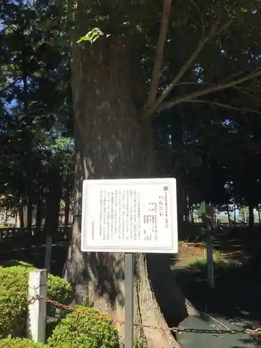 深見神社(神奈川県)
