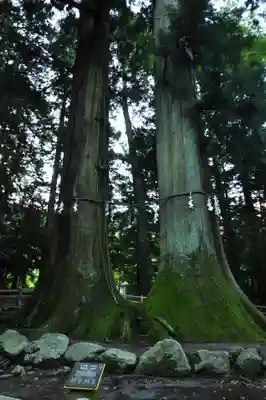 河口浅間神社(山梨県)