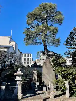 眞福寺(東京都)
