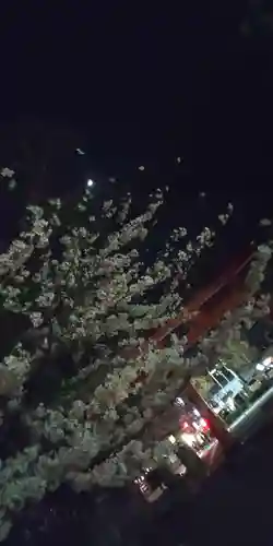 平野神社(京都府)