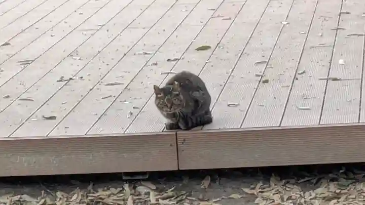 村雲御所瑞龍寺門跡(滋賀県)