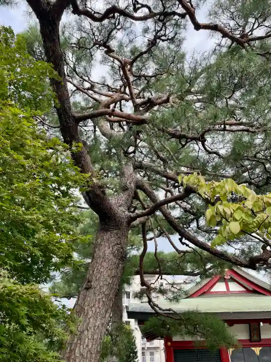 善明寺(東京都)