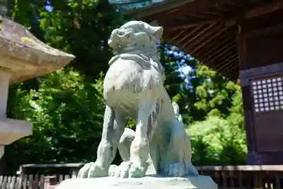 神炊館神社 ⁂奥州須賀川総鎮守⁂の狛犬