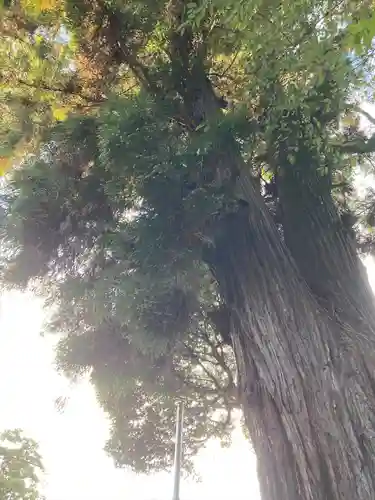 息栖神社(茨城県)