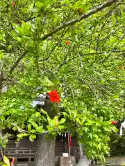 鹿島台神社の自然