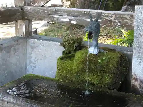 椎宮八幡神社の手水