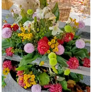 彌彦神社 (伊夜日子神社)(北海道)(2025年11月11日(火) 09時20分27秒投稿)