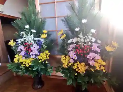 雨竜　専福寺(北海道)