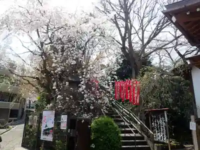 弘明寺の御朱印