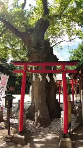 新田神社の鳥居