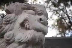 坂戸神社の狛犬