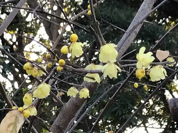 検見川神社の自然
