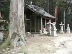 日吉神社の自然