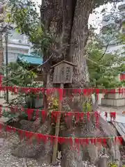 三輪神社の自然