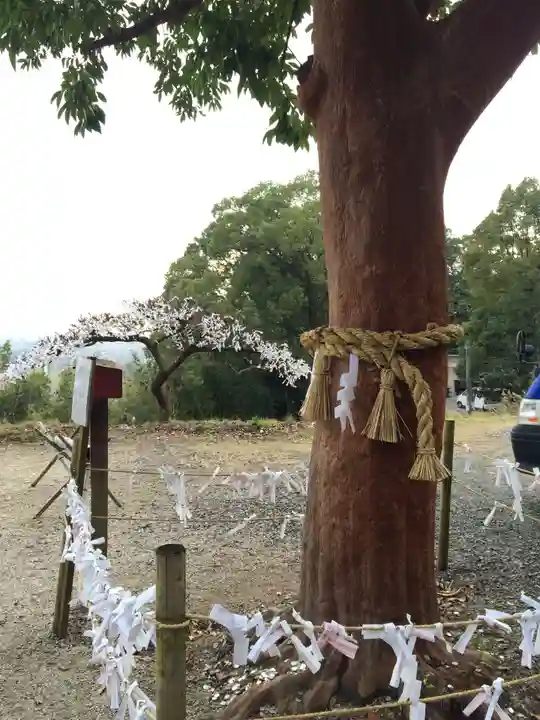 金刀比羅神社(佐賀県)