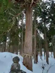 二ツ森稲荷神社の自然