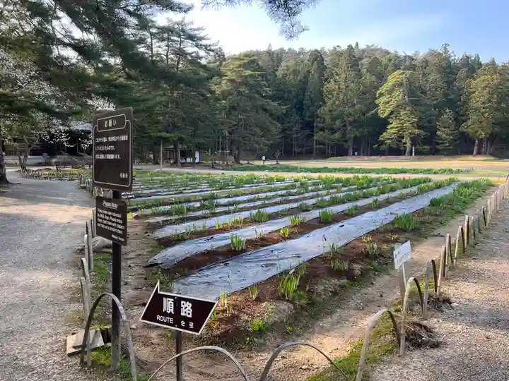 毛越寺(岩手県)