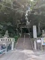 代々木八幡宮の{uncategorized: "未分類", other: "その他", undefined: "問題あり", building: "その他建物", grave: "お墓", sacred_gate: "鳥居", guardian: "狛犬", statue: "像", buddha: "仏像", history: "歴史", nature: "自然", garden: "庭園", animal: "動物", pagoda: "塔", temizu: "手水舎", mountain_gate: "山門・神門", sanctuary: "本殿・本堂", subordinate: "末社・摂社", art: "芸術", scenery: "景色", jizo: "地蔵", ema: "絵馬", goshuin: "御朱印", omikuji: "おみくじ", items: "授与品その他", amulet: "お守り", goshuincho: "御朱印帳", eats: "食事", festival: "お祭り", votive_dance: "神楽", shichigosan: "七五三参", wedding: "結婚式", experience: "体験その他", initially: "初詣", around: "周辺", anti_infection: "感染症対策"}
