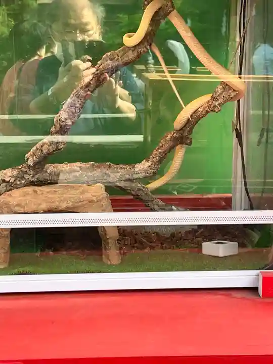 蛇窪神社(東京都)