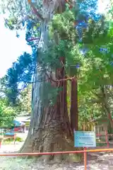 鷲倉神社(宮城県)