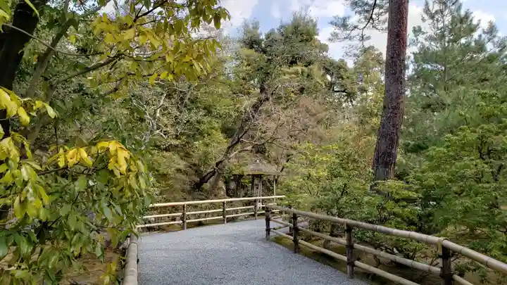鹿苑寺(金閣寺)の庭園