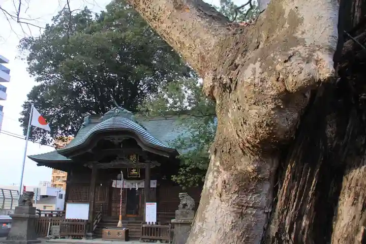 阿邪訶根神社の本殿・本堂