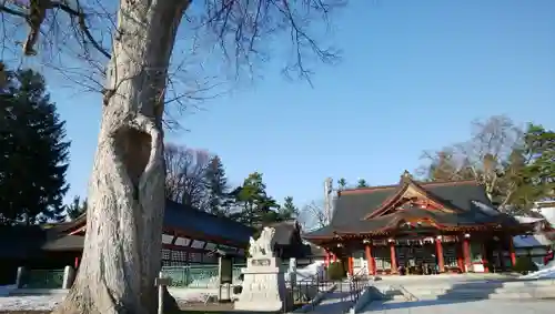 北海道護國神社の本殿