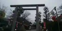 桜神宮の鳥居