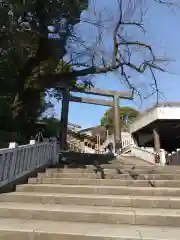 伊勢山皇大神宮の鳥居