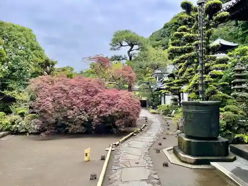 本蓮寺の庭園