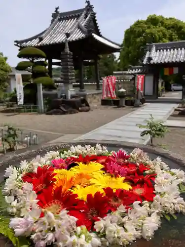真言宗　善通寺派　薬王寺(香川県)