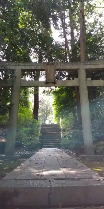 戸隠神社の鳥居