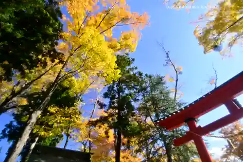 小室浅間神社(山梨県)