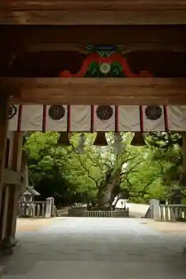 大山祇神社(愛媛県)