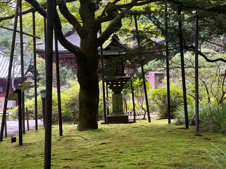 北口本宮冨士浅間神社(山梨県)