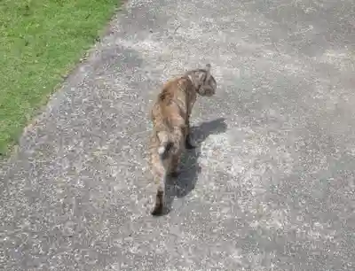 海善寺(静岡県)