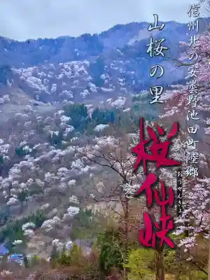 有明樹玉神社の{uncategorized: "未分類", other: "その他", undefined: "問題あり", building: "その他建物", grave: "お墓", sacred_gate: "鳥居", guardian: "狛犬", statue: "像", buddha: "仏像", history: "歴史", nature: "自然", garden: "庭園", animal: "動物", pagoda: "塔", temizu: "手水舎", mountain_gate: "山門・神門", sanctuary: "本殿・本堂", subordinate: "末社・摂社", art: "芸術", scenery: "景色", jizo: "地蔵", ema: "絵馬", goshuin: "御朱印", omikuji: "おみくじ", items: "授与品その他", amulet: "お守り", goshuincho: "御朱印帳", eats: "食事", festival: "お祭り", votive_dance: "神楽", shichigosan: "七五三参", wedding: "結婚式", experience: "体験その他", initially: "初詣", around: "周辺", anti_infection: "感染症対策"}