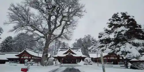 北海道護國神社の本殿